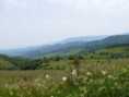 /album/fotogaleria-offroad-chiprovtsi/p1120943-jpg/