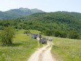 /album/fotogaleria-offroad-chiprovtsi/p1120945-jpg/